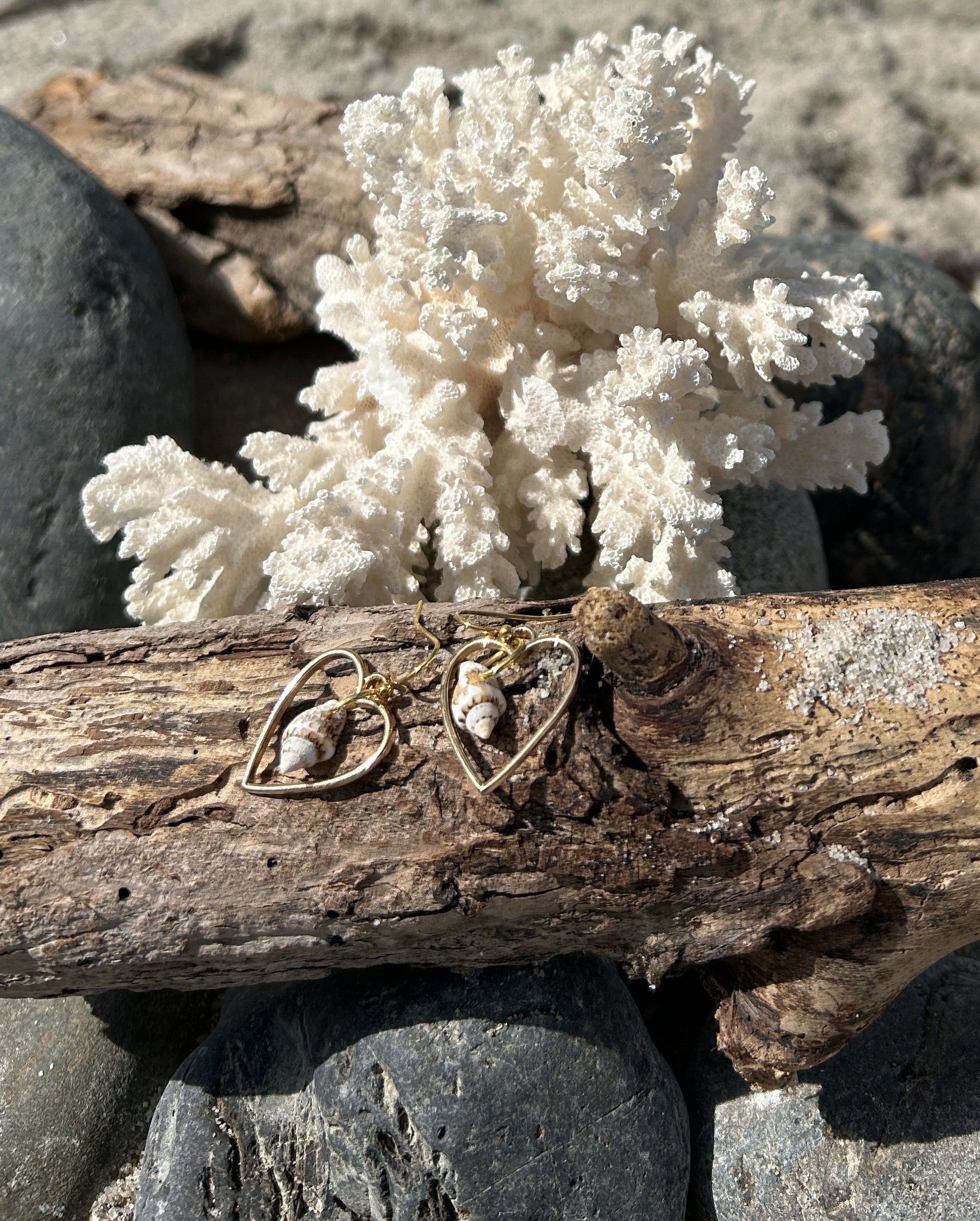 I Heart - Seashell